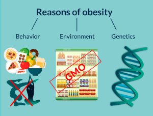 reason-obesity